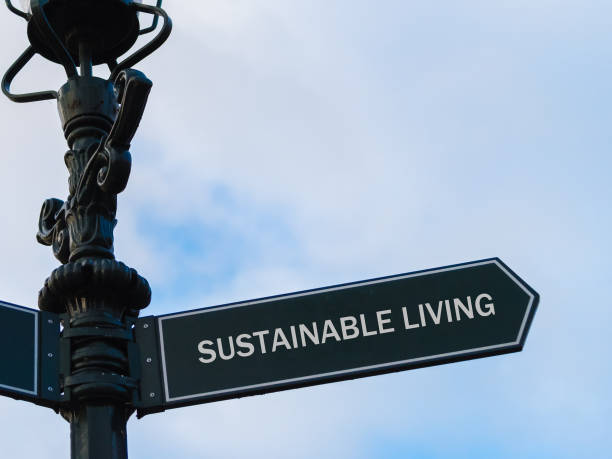 istock SUSTAINABLE LIVING directional sign on guidepost 641385076
