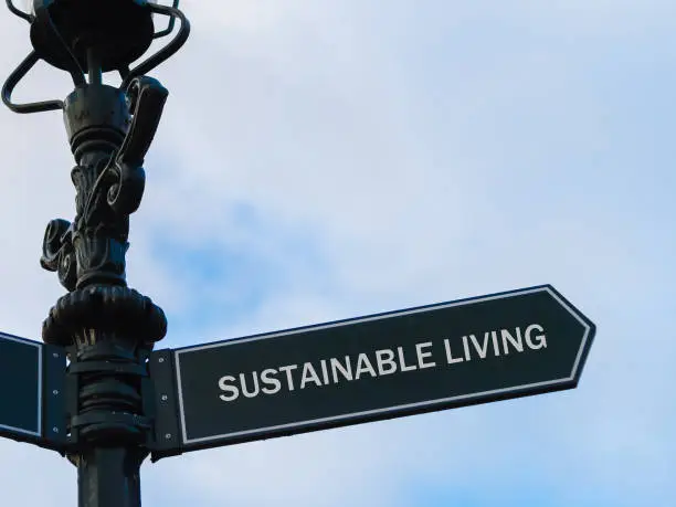 Street lighting pole with conceptual message SUSTAINABLE LIVING on directional arrow over blue cloudy background.
