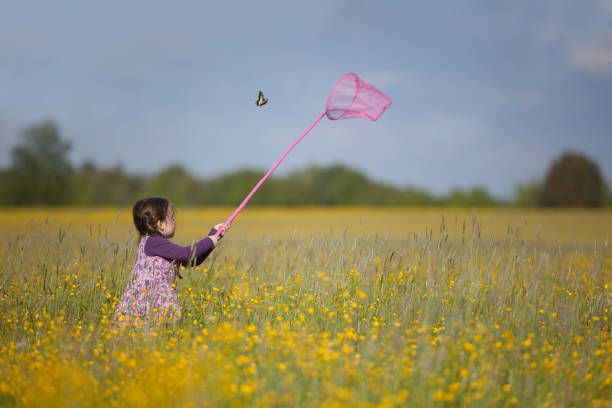 A little girl is chasing a butterfly with a dip net. She is in a yellow flower field on a summer day with bright blue sky.