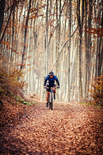 istock Bicycle riding in beautiful forest at autumn 641389906