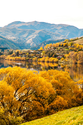 Beautiful golden Autumn colours over still Lake Hayes, Queenstown, New Zealand