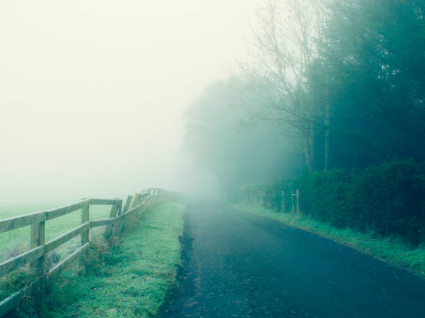 istock foggy countryside 641394558