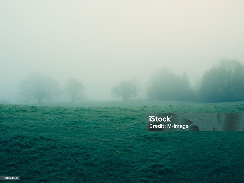 foggy countryside foggy countryside in Northern Ireland Fog Stock Photo