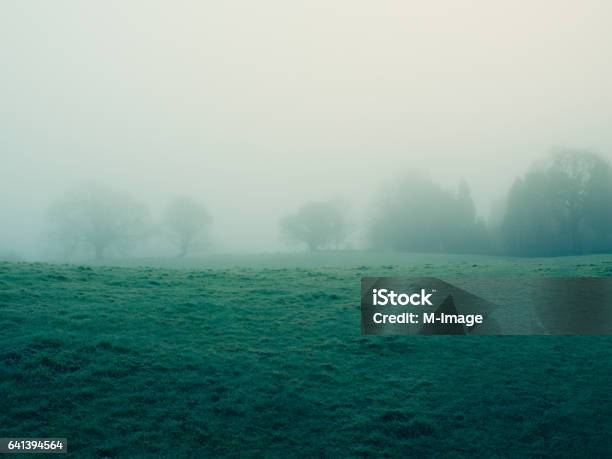 Foggy Countryside Stock Photo - Download Image Now - Fog, Ireland, Landscape - Scenery