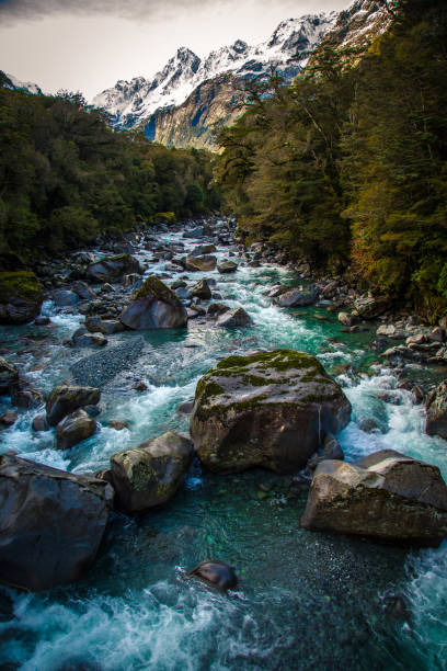 Road trip and hike through one of the most beautiful places on the planet, Milford Sound , New Zealand