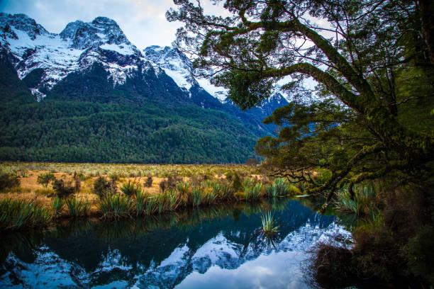 istock Fiordland Notional Park 641400130