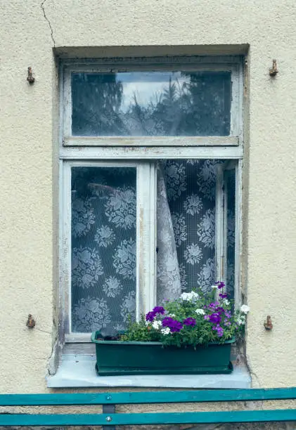 old wooden window with flower boxes