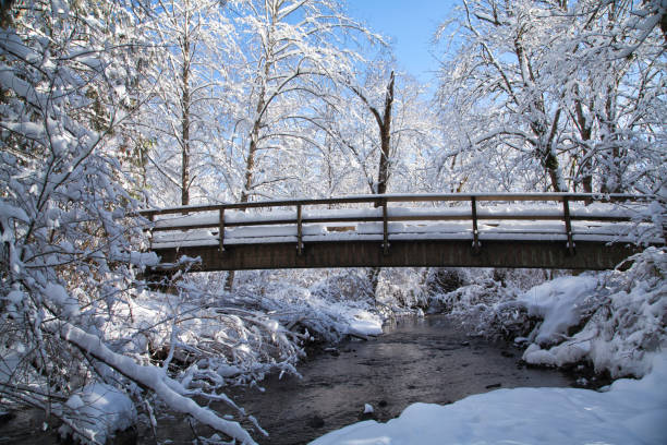 A snow covered park land with a bridge over a creek in winter.