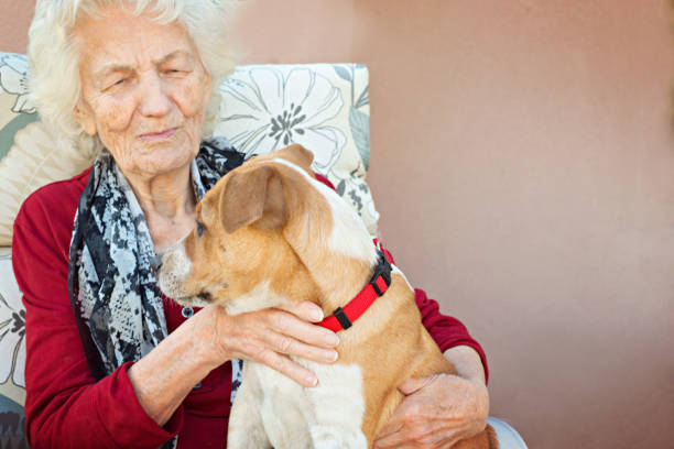 istock Senior Woman with Puppy 641408338