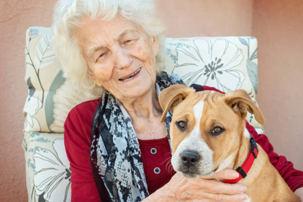 istock Senior Woman with Puppy 641408618