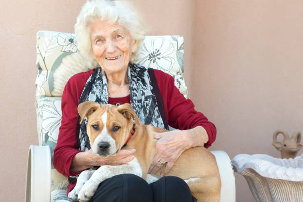 istock Senior Woman with Puppy 641408920