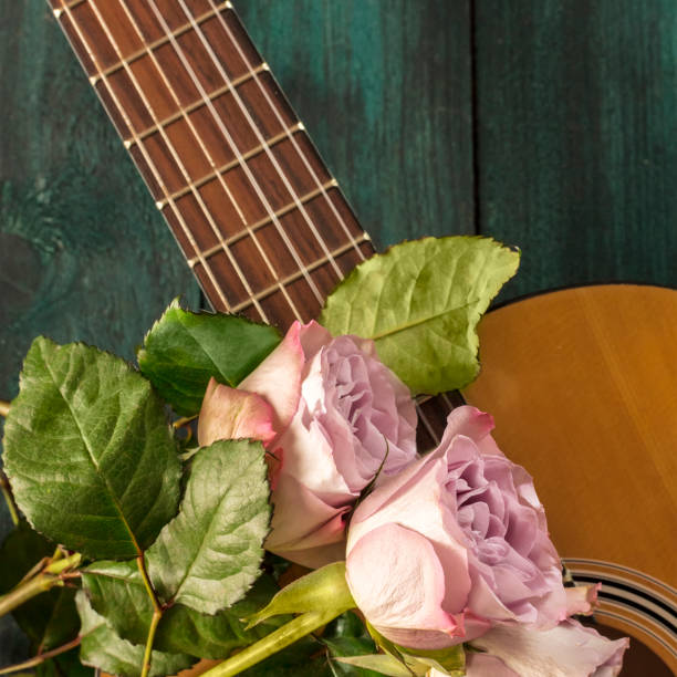 istock Guitar neck with tender pink roses on dark background 641408958
