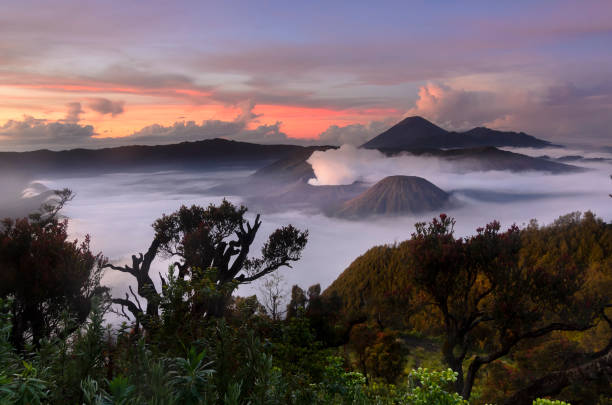 istock morning of Bromo 641409884