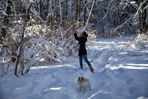 Woman walking her dog in a deeply snow covered park, Vancouver, Canada.