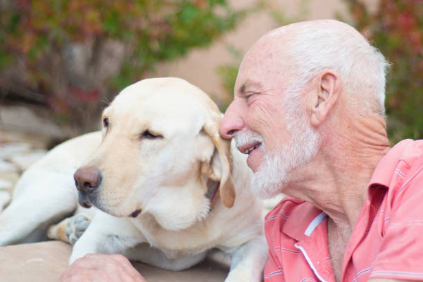 istock Senior man petting dog outdoors 641410198