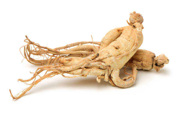 Full ginseng plant root lying on white background Full ginseng plant root lying on white background ginseng stock pictures, royalty-free photos & images