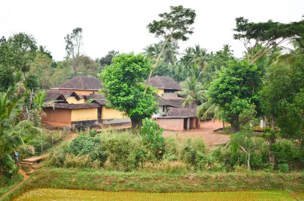 Typical farmer's houses in the rural southern states of India.  Tiled roof houses are common.