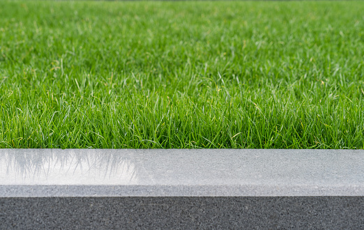 Empty green field in urban central.