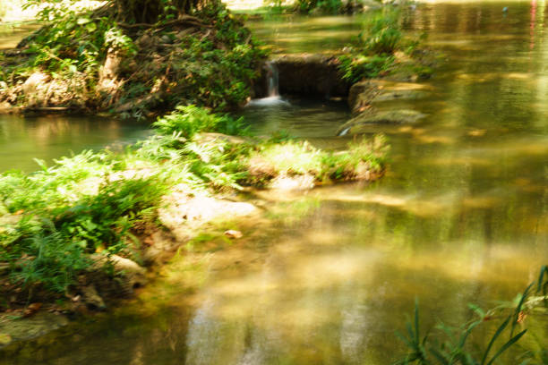 Little tropical waterfall in jungle in thailand smooth motion