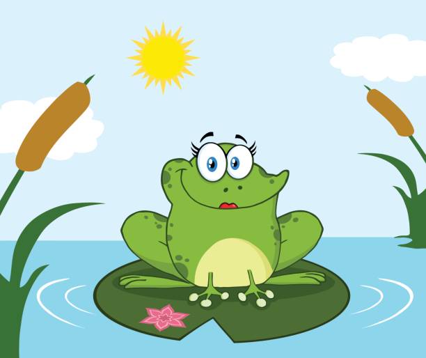 호수에서 연못 릴리 패드에 웃는 개구리 여성 만화 마스코트 캐릭터 - frog jumping pond water lily stock illustrations