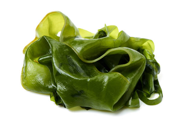 istock Fresh green seaweed  isolated over white background 641419972