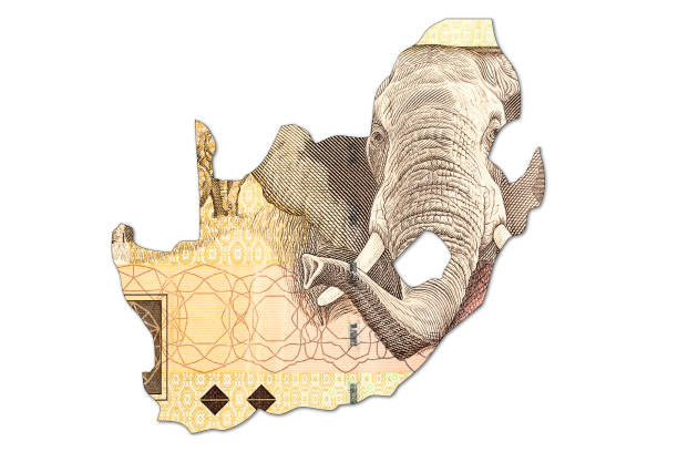 billet de banque de 20 rands sud-africains - south african rand note photos photos et images de collection