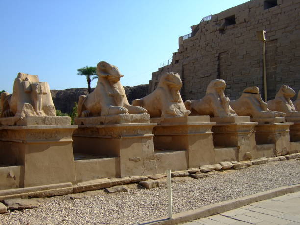 istock The Avenue in The Temple of Karnak 641427708