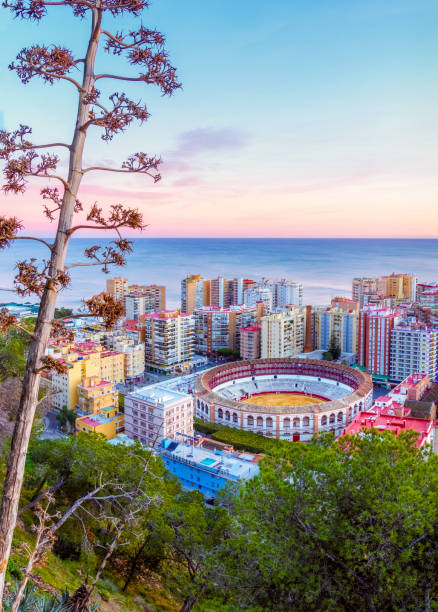 Plaza de Toros of Malaga Malaga, Spain, is one of the most dynamics cities in south Europe. It  is a modern city with museums, restaurants, entertainment, and beaches. seville port stock pictures, royalty-free photos & images