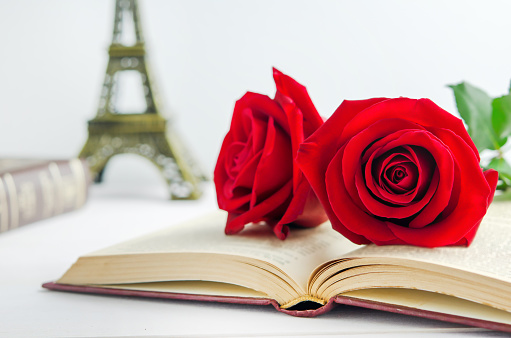 Close up of red rose flower at opened old book on white wooden background with vintage tone