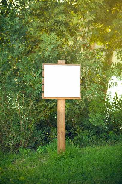 istock Blank white wooden sign on green leaves background 641438448