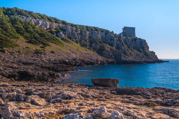 istock coastline landscape, Porto Selvaggio, Italy 641441382