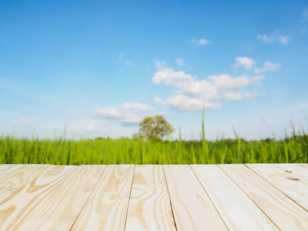 istock Empty platform of meadow and blue sky background 641441630