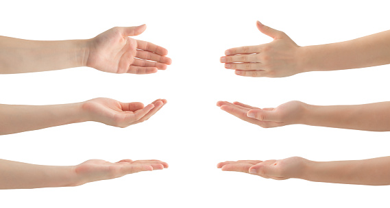 Woman Hands Set , clipping path