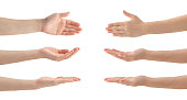 Woman Hands Set , isolated
