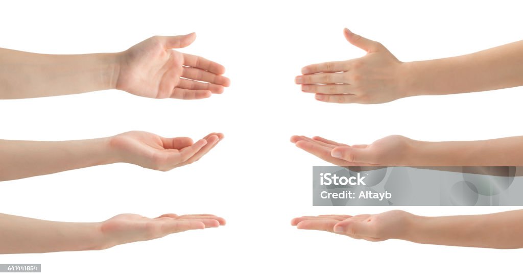 Woman Hands Set , isolated Woman Hands Set , clipping path Hand Stock Photo
