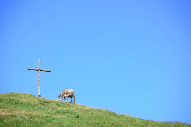 Beautiful Austrian scene, cow and cross on hill