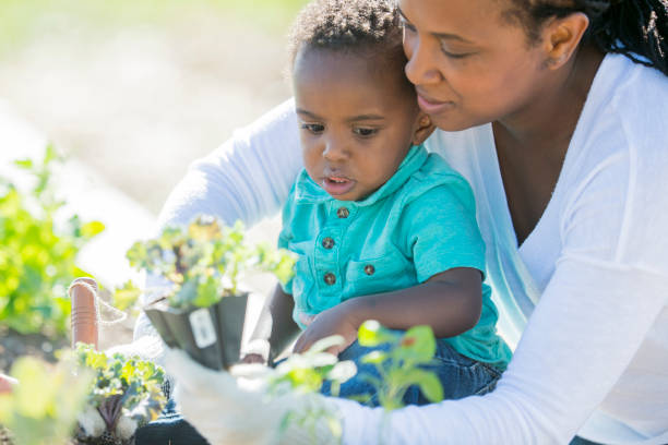istock Planting in the Garden 641448616