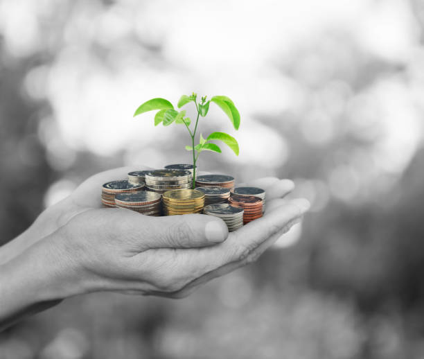 istock Ecological investment concept 641449104