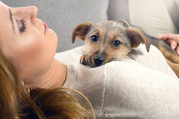 istock Puppy dog and woman 641458438