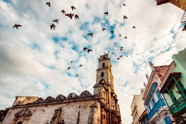Fock of birds flying over Basilica Menor de San Francisco de Asis in Old Havana.