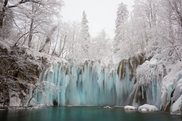 Plitvice in winter The Plitvice National Park in winter is kingdom of ice. Waterfalls are partially frozen and there are a lot of particular ice formations. The forest is completely white covered by ice. frozen waterfall stock pictures, royalty-free photos & images