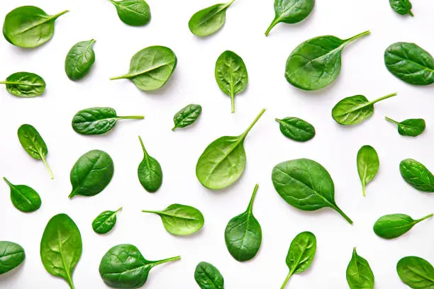 Photo of Spinach pattern background on white. Top view