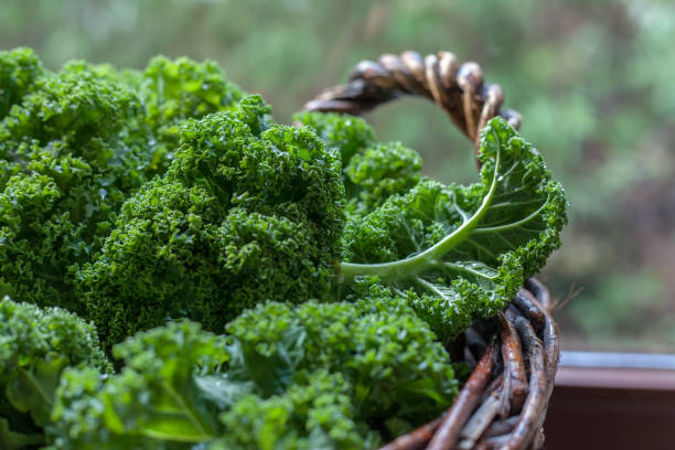 istock Kale in rustic basket on daylight  close Up 641465092