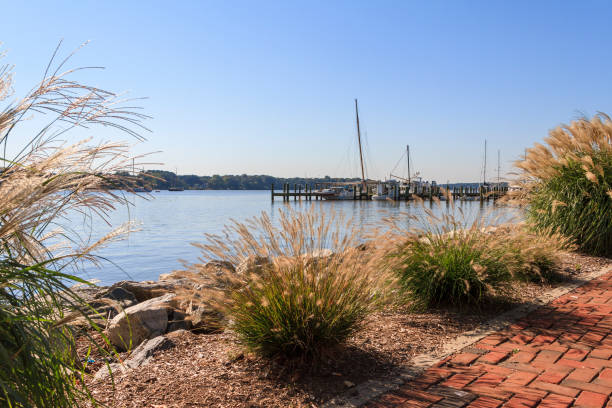 Chester River Scenic View In Maryland