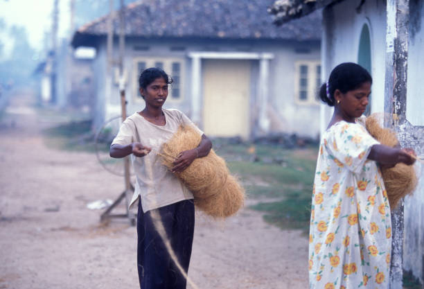 a women at work near the town of Hikkaduwa in the southwest of Sri Lanka in Asien.