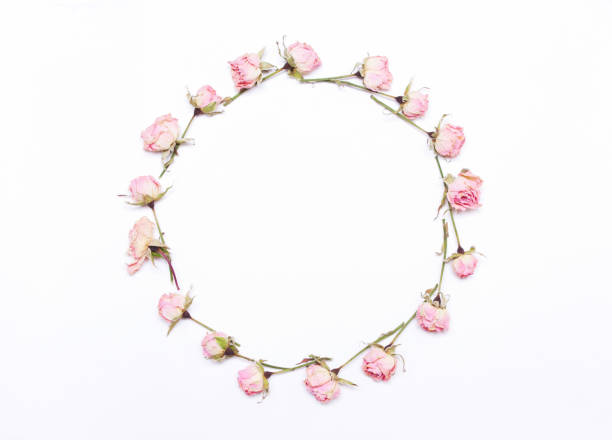 istock round frame of pink  flowers 641480860