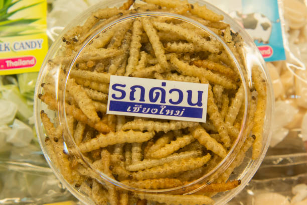 ASIA THAILAND CHIANG MAI TALAT WAROROT FOOD worms at the Warorot Market in the city of Chiang Mai in North Thailand in Thailand in southeastasia. warorot stock pictures, royalty-free photos & images