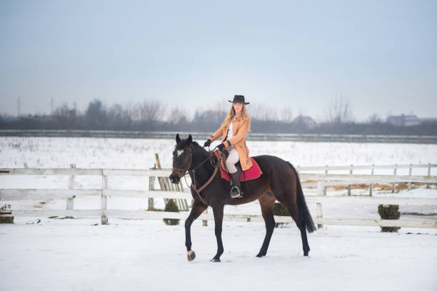istock Woman enjoying winter breaks with her horse 641482490