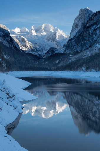 Picture of Gosausee in Winter with many Snow. Dachstein Mountain is reflecting in the Water.