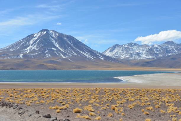 istock Atacama, National Reserve de los Flamengos 641488084